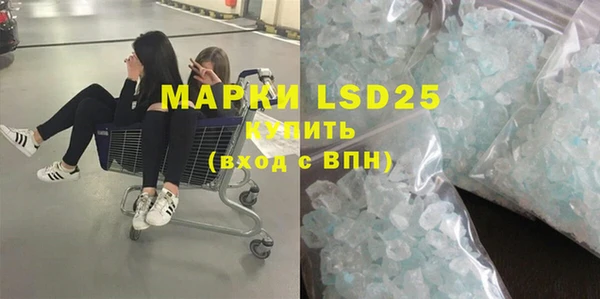 индика Новодвинск