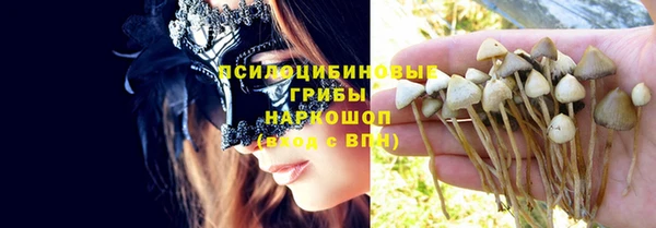apvp Няндома