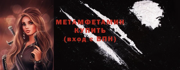 индика Новодвинск