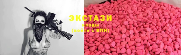 шишки Надым