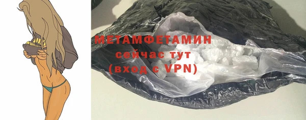 шишки Надым