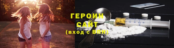 шишки Надым