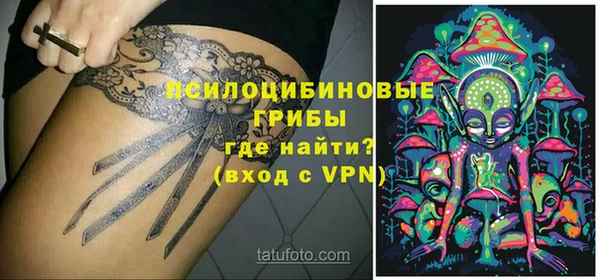 шишки Надым