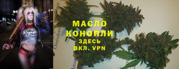 индика Новодвинск