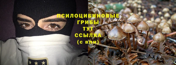 шишки Надым