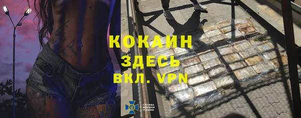 индика Новодвинск