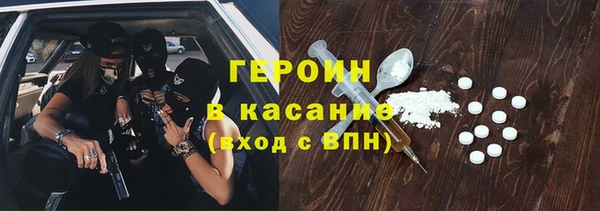 индика Новодвинск
