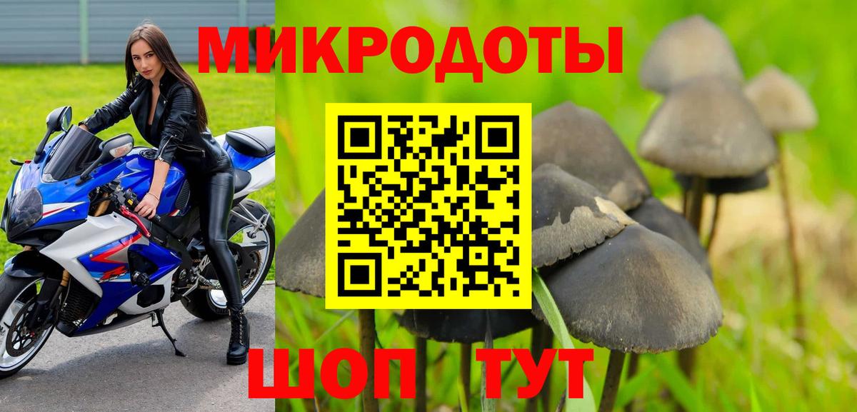 Галлюциногенные грибы MAGIC MUSHROOMS  Вход с VPN  Ивантеевка 